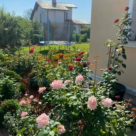 Villa Rose *