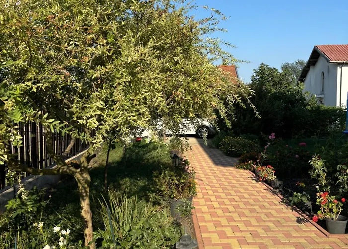 Villa Rose Trastikovo